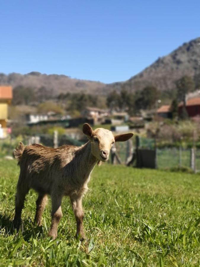 Hogar Gallan ゴンドマール エクステリア 写真